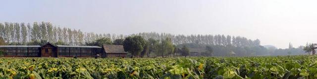 户外自然景观农田耕作种植背景图片