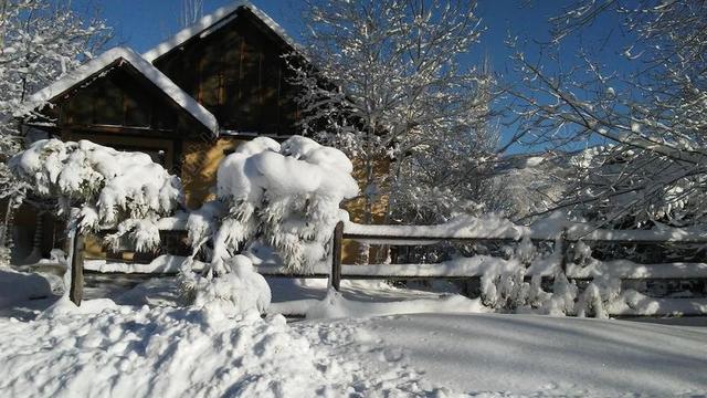 户外白色雪景植物房屋建设背景图片