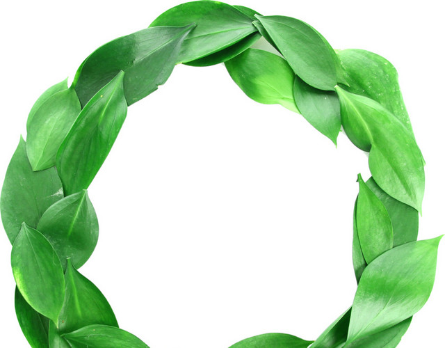 绿色树叶花环素材