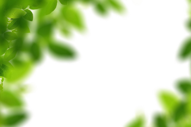 绿色植物封面素材