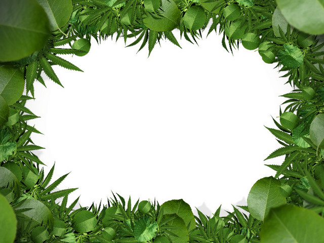 绿色植物封面矢量元素