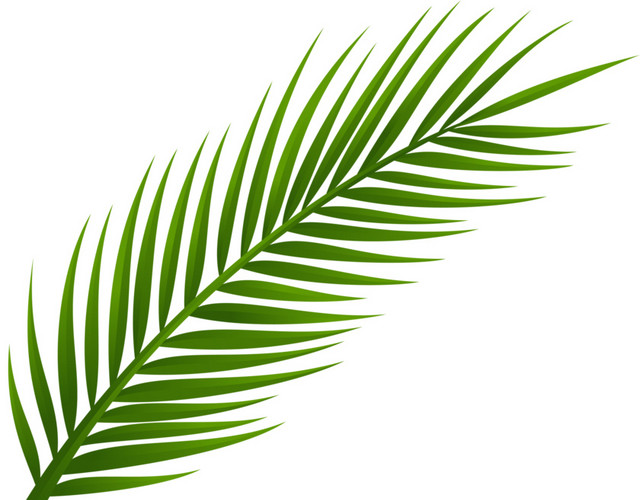 绿色植物素材下载
