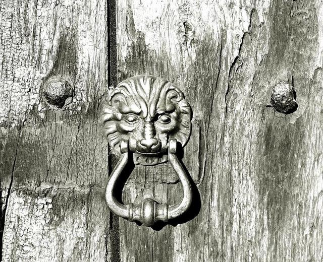 木质门 旧木门 DOORKNOCKER 老 木 门 输入 狮子