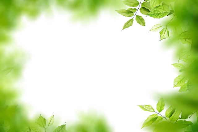 绿色植物树叶封面素材