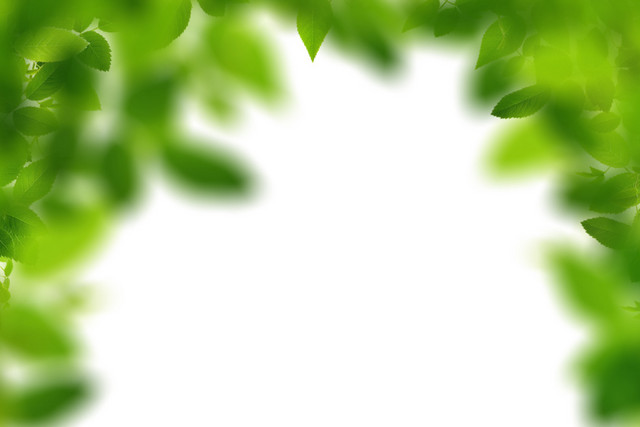 绿色封面矢量元素