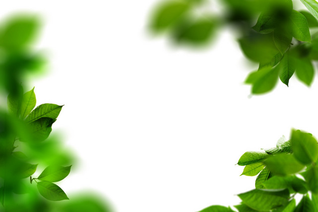 绿色植物封面矢量元素