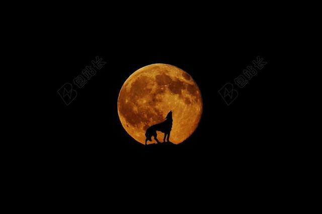 月球 狼 满月 嗥 神秘 夜 照片蒙太奇 号叫