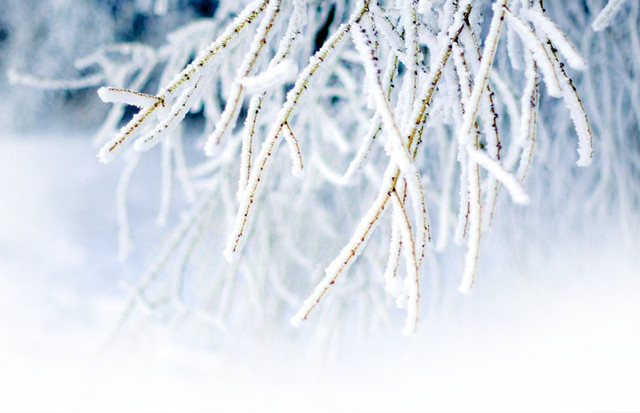 立冬节气雪花素材