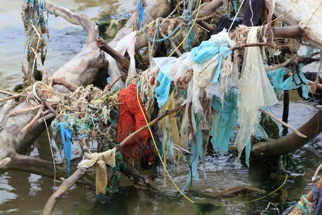 拉托维亚 KOLKA 污染 海滩 海 水 木材 海岸