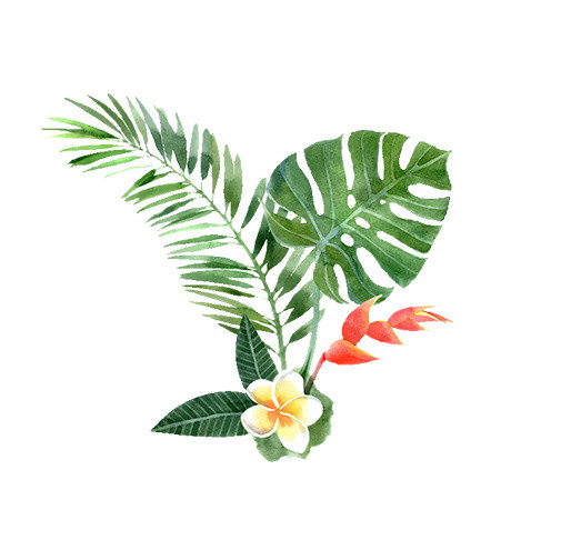 手绘树叶鲜花装饰