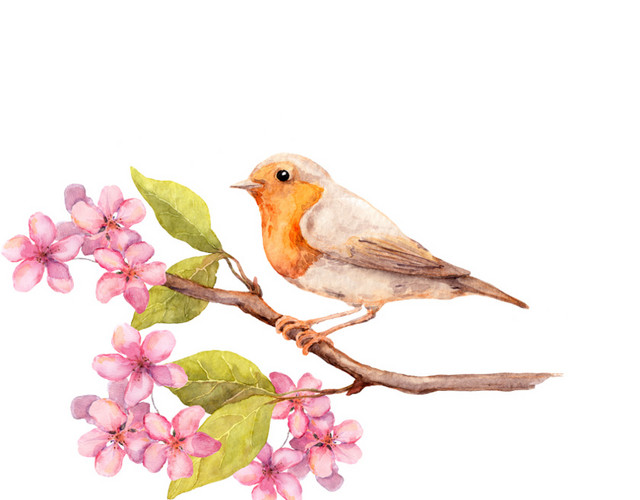 手绘花鸟