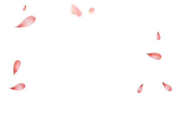 情人节玫瑰花瓣