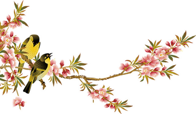 唯美精美花枝鸟喜鹊桃花花朵树叶