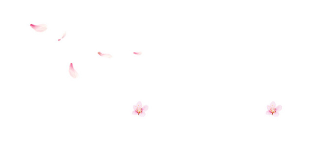 漂浮桃花