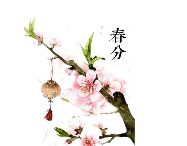 一树桃花之春分节气