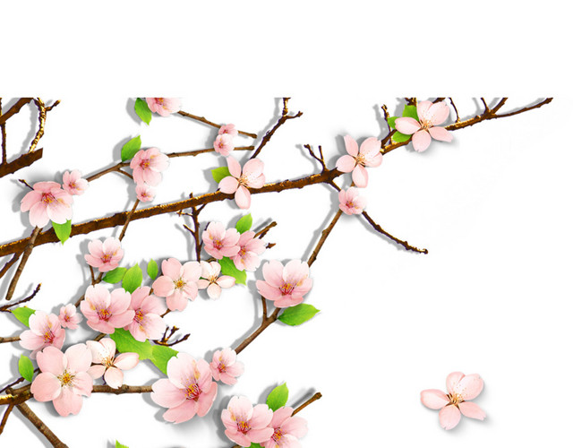 唯美精美桃花花朵花枝树叶装