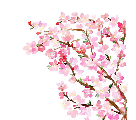 桃花树