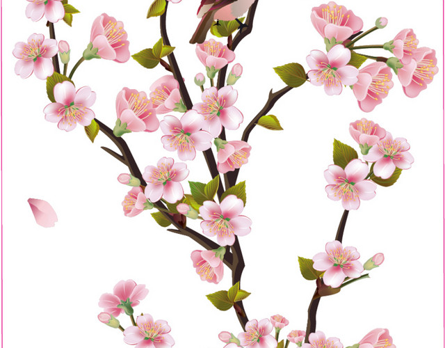 花鸟透明手机壳素材