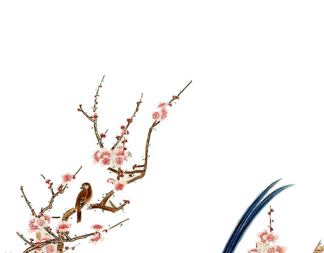 鸟在枝头