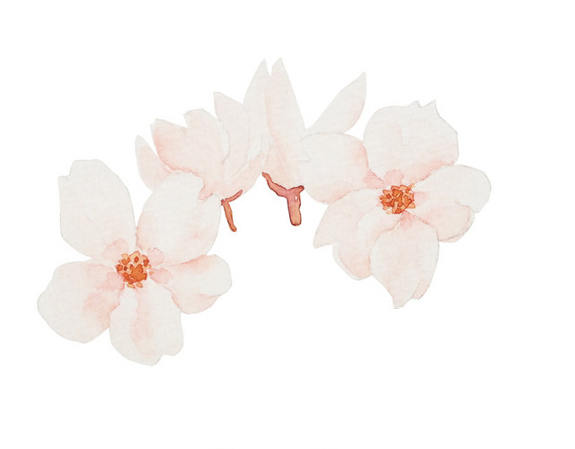 樱花落花