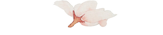 樱花落花