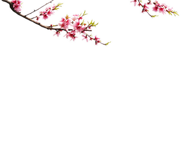粉色桃花图案
