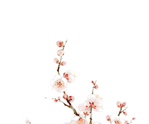 桃花树枝