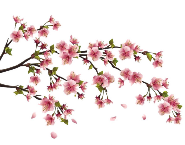 桃花十里飘