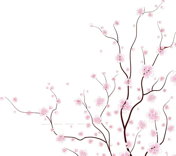 手绘梅花