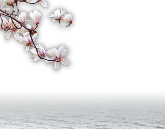 中国风江南烟雨桃花素材