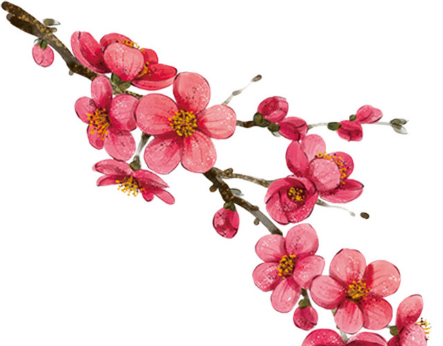 卡通手绘桃花枝