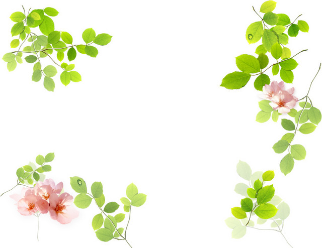花草边框
