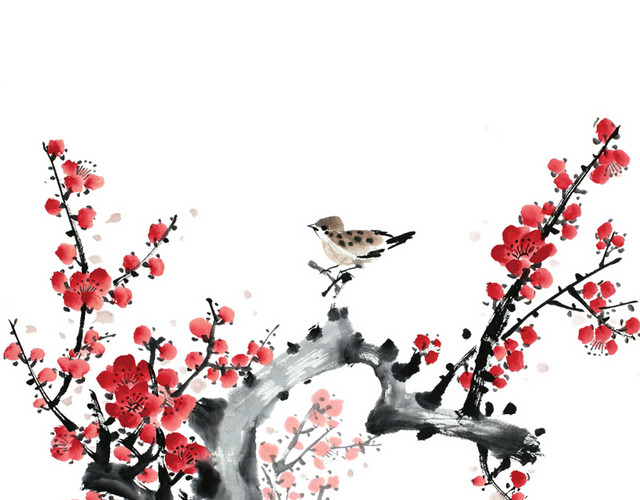 春天的花朵