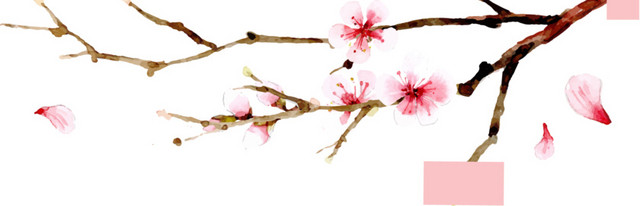 矢量手绘樱花