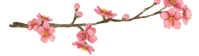 手绘水彩粉嫩桃花枝装饰图案