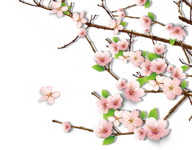 手绘春天桃花盛开装饰