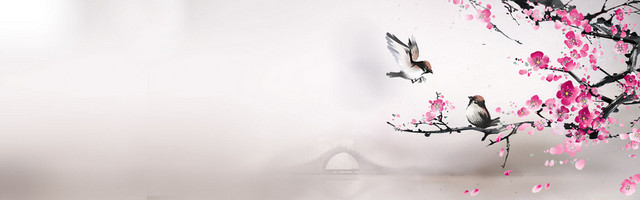 古典中国风梅花鸟背景BANNER