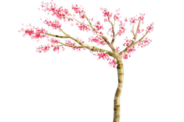 桃树桃花