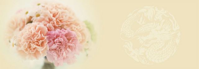 生日贺卡温馨康乃馨背景BANNER