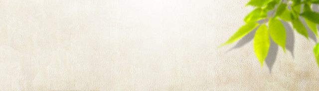 绿叶背景BANNER