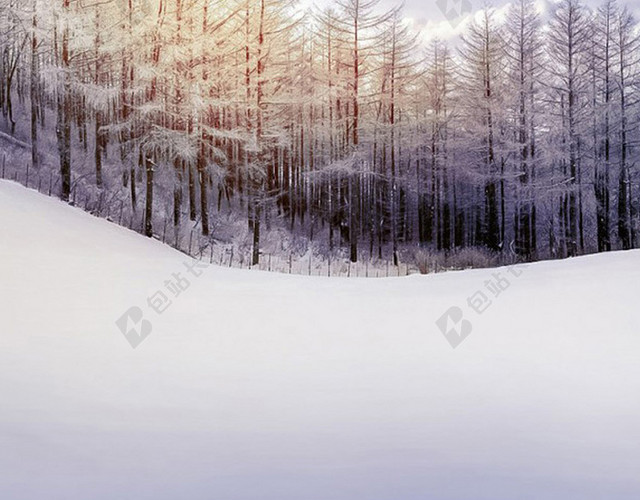 雪地上的树林H5背景