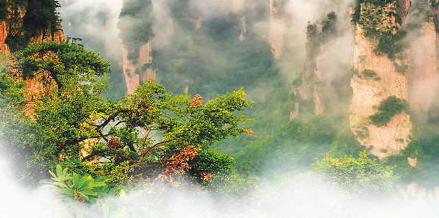 张家界风景