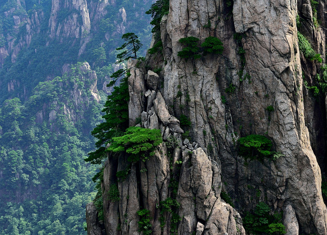 黄山自然风景