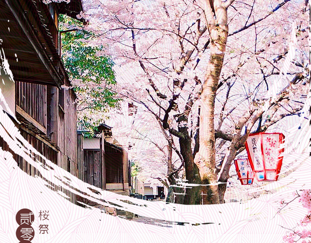 日本樱花节旅游