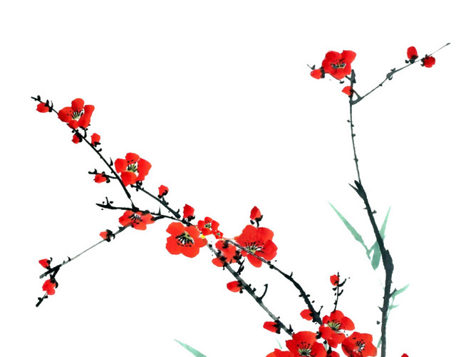 红色梅花