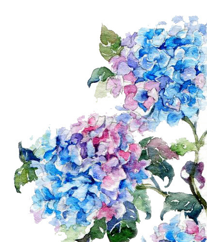卡通手绘清新水彩蓝色花朵植物素材