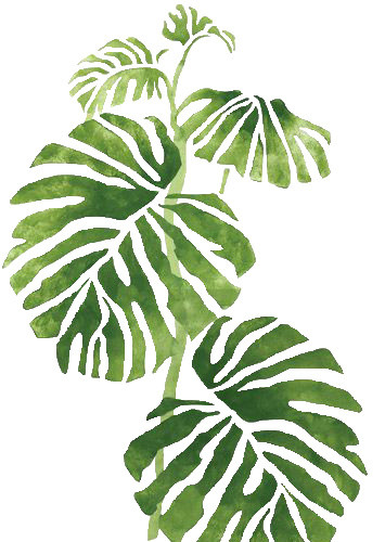卡通手绘清新叶子植物素材