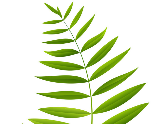 卡通手绘清新叶子植物素材