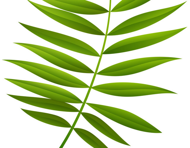 卡通手绘清新叶子植物素材