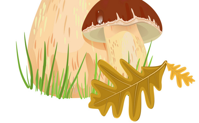 秋季丰收枫叶蘑菇植物素材